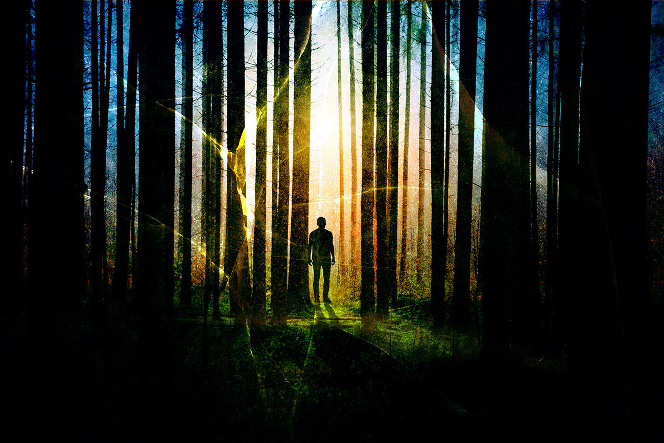 Surreal Apocalyptic Woods 01 - stock photos and royalty-free images