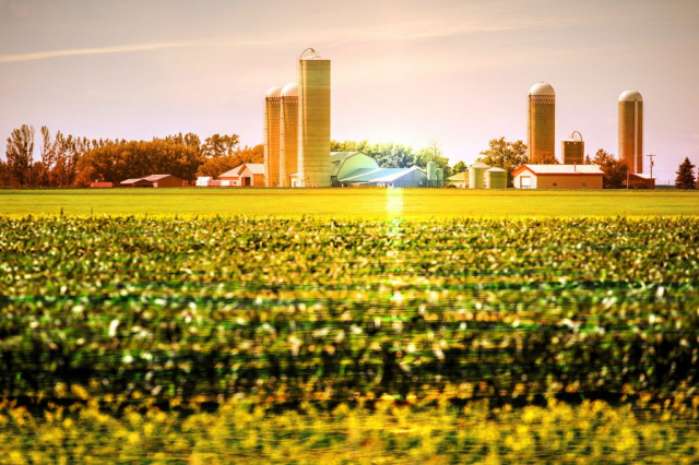 Modern Farmland and Agriculture Real Estate - stock photos and royalty-free images