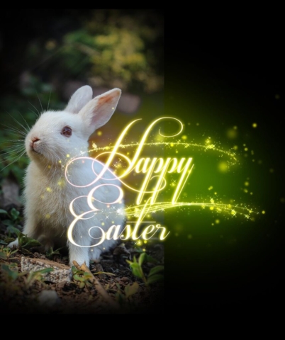 Cute Happy Easter Bunny