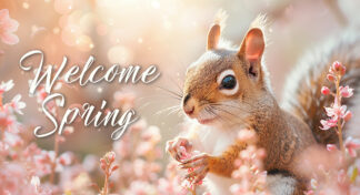 Welcome Spring - Adorable Squirrel in Nature